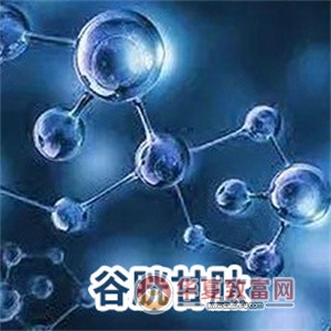 斑小将加盟